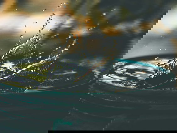 De Jaargetijden: Regenwater