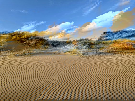 Lekkere Track: Het waddeneiland