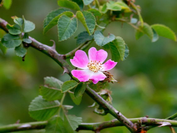 Kettingreactie 20 januari 2025