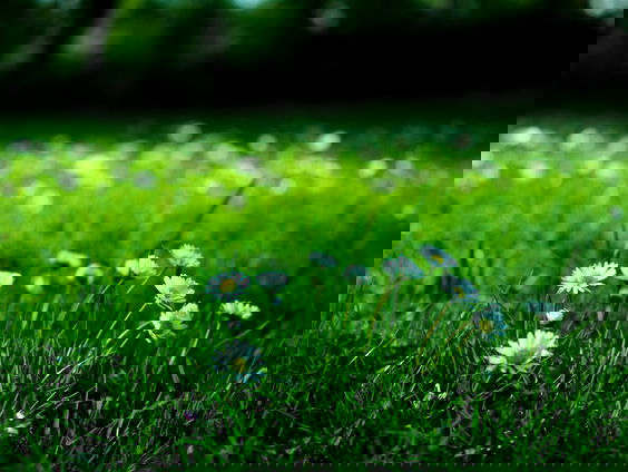 RadioReisDienst: Vakantie in eigen huis