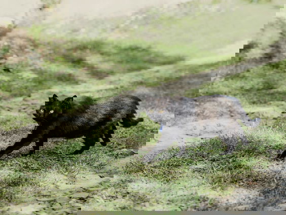 Lekkere Track: Vrijdag de 13e