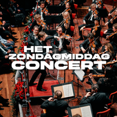 Het Zondagmiddagconcert
