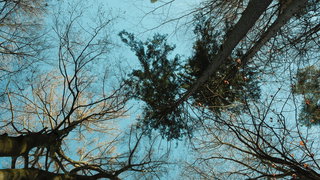 Lekkere Track: Richting het Bos