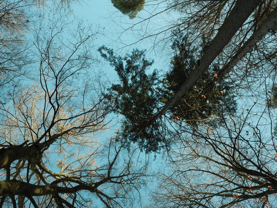 Lekkere Track: Richting het Bos