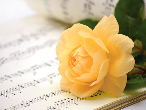 Kettingreactie 30 juni 2025