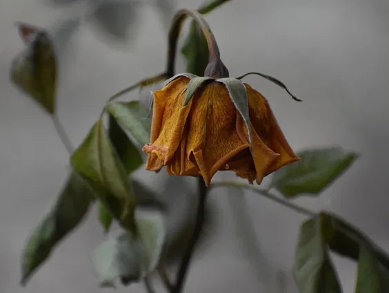 Kettingreactie 17 september 2024