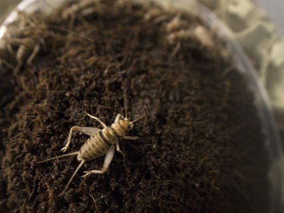 Kettingreactie 22 augustus 2024