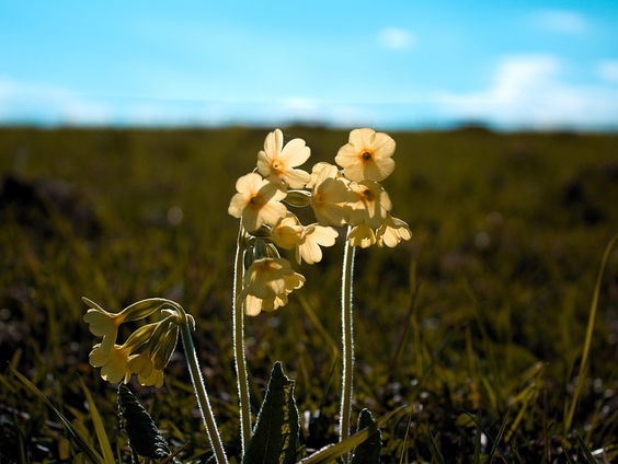 Kettingreactie 12 september 2024