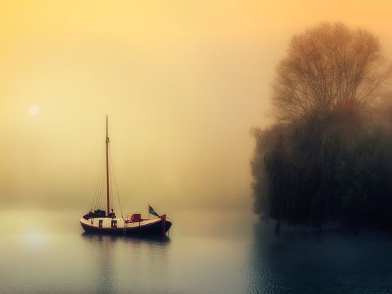 Kettingreactie 24 januari 2025