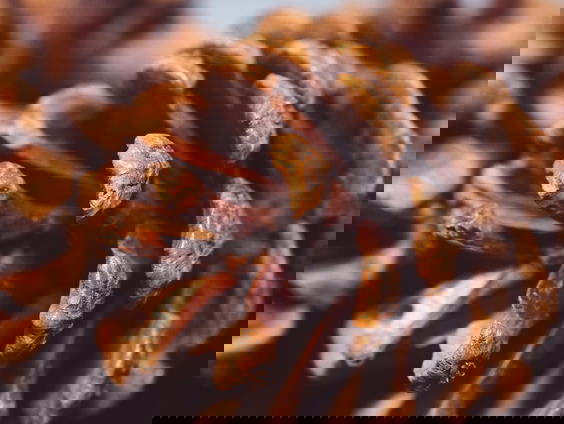 Lekkere Trek: Herfst Equinox