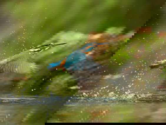 Lekkere Track: Oog voor detail