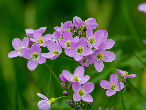 Lekkere Track: Tweede Pinksterdag