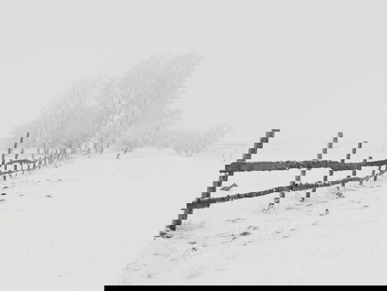 Lekkere Track: Een Witte Sprookjeswereld