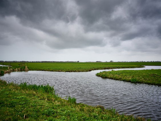 De Jaargetijden: oppervlaktewater