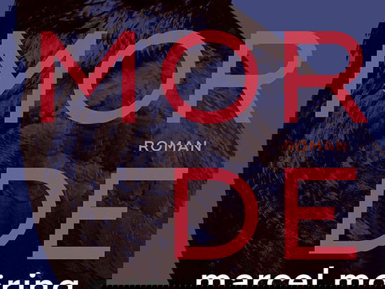 Het gesprek: Marcel Möring