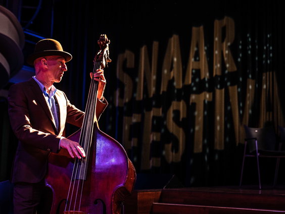 SNAAR-festival combineert muziek en wetenschap