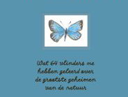 Boek van de Week: Het vlinderseizoen