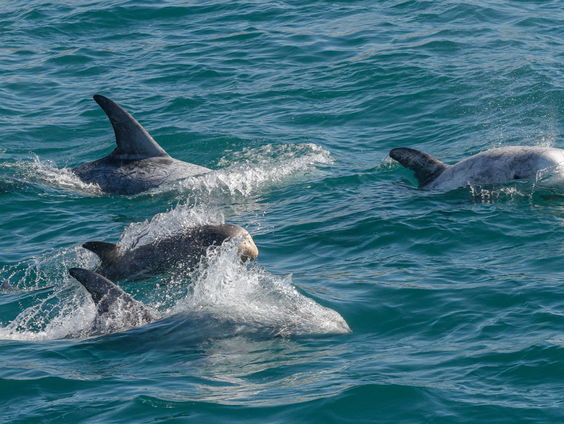 In Nice begint de Oceanenconferentie
