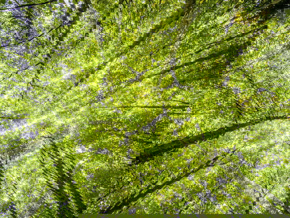 Lekkere Track: Utrechtse Heuvelrug