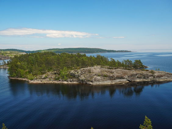 Kettingreactie 1 augustus 2024