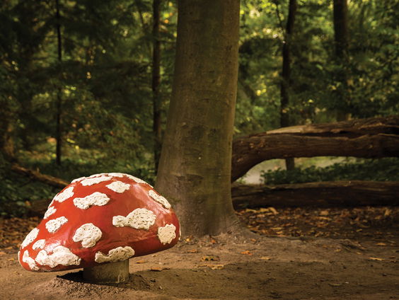 Kettingreactie 8 januari 2025