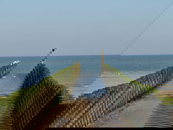 Lekkere Track: Heilzaam