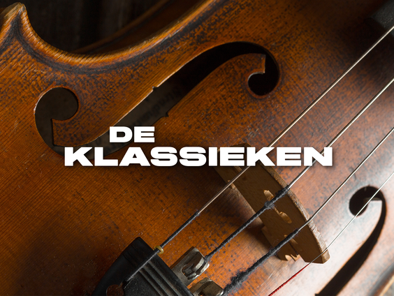 Kettingreactie 31 augustus 2023