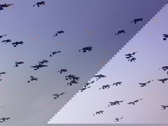 Lekkere Track: Beeftink