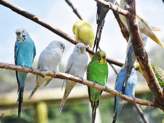 Kettingreactie 10 maart 2025