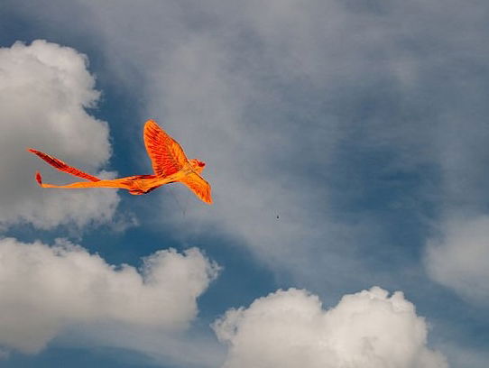 Lekkere track: Firedove