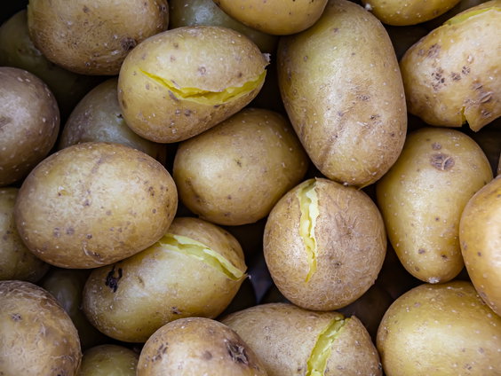 Lekkere Track: Aardappel Muziek