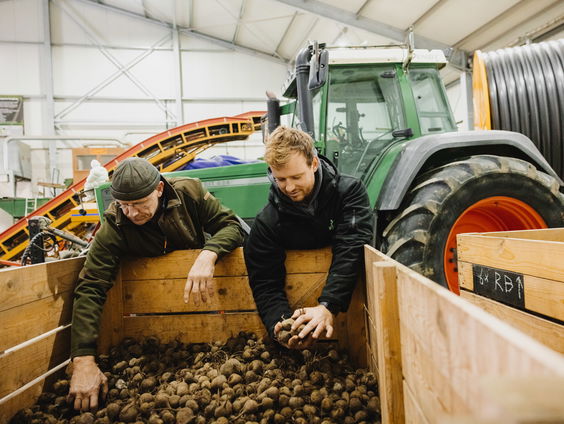 No Waste Army redt groenteoverschotten