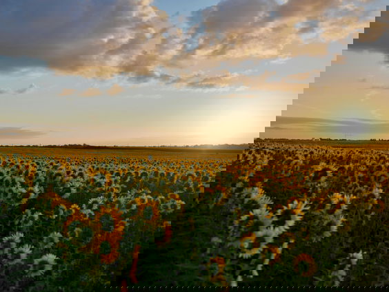 Lekkere Track: In de auto naar Frankrijk