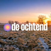 De Ochtend