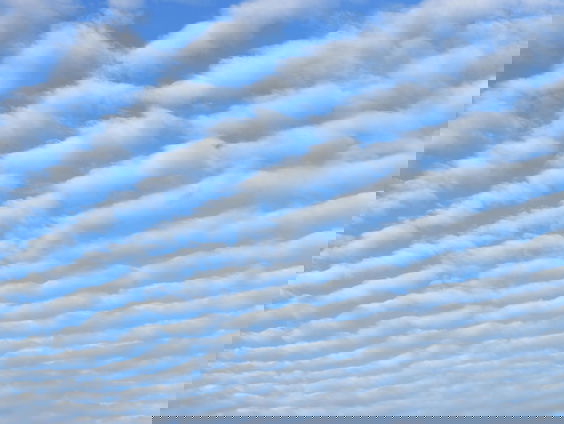 Lekkere Track: Lichtblauwe Dinsdag