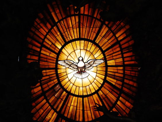 Kettingreactie 24 oktober 2024