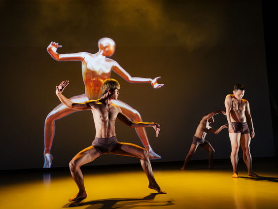 Het Holland Festival begint