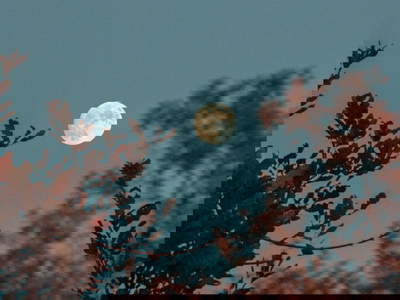 Lekkere Track: Volle Maan