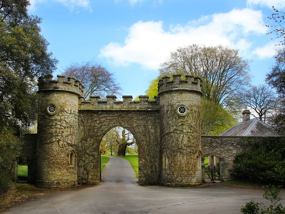 Kettingreactie 21 februari 2025