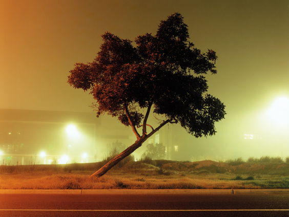 Pictures for Purpose verkoopt foto's voor kinderen in Gaza en Libanon