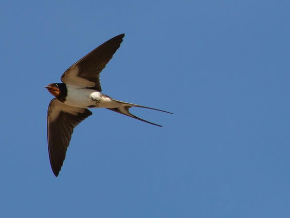 Kettingreactie 14 maart 2025