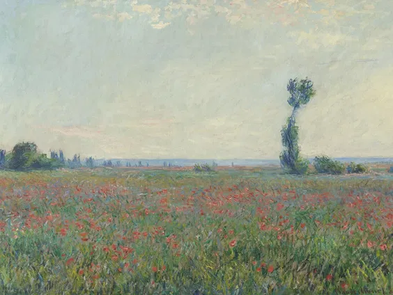 De audiotour: Fleur Roos Rosa de Carvalho over Vive l'Impressionisme