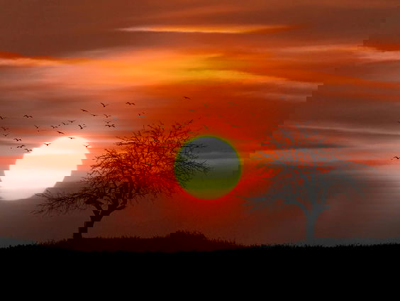 Lekkere Track: Nog heel even rust...