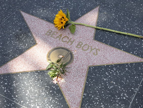 De rijke harmonieën van Brian Wilson (1942-2025)