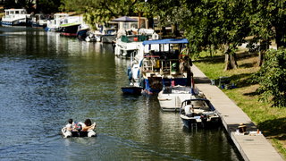 '24 uur voor de stadsnatuur' vraagt aandacht voor groen in de stad