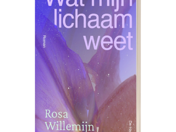 Het gesprek - Rosa Willemijn Vlogman