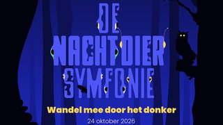In de Nacht van de Nacht kun je naar een nachtdiersymfonie luisteren