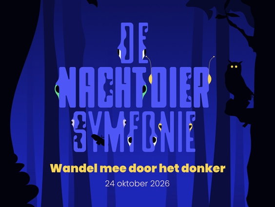 In de Nacht van de Nacht kun je naar een nachtdiersymfonie luisteren
