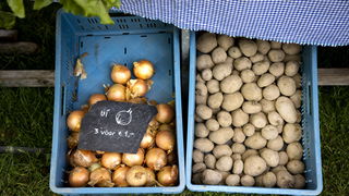 Boeren voeren actie voor goedkopere biologische groente