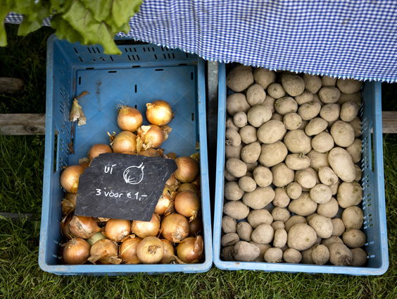 Boeren voeren actie voor goedkopere biologische groente
